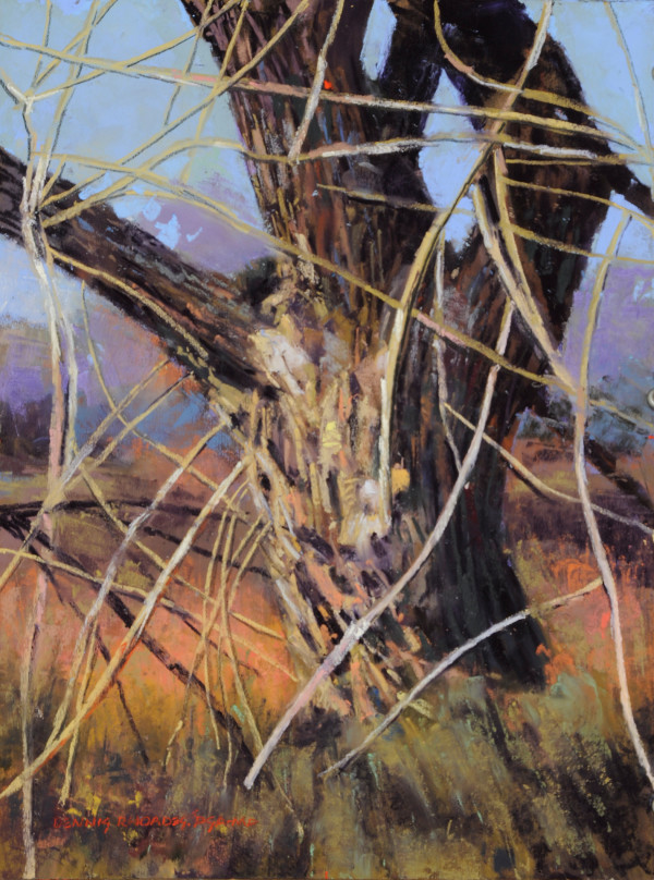 Tangled Cottonwood by Dennis Rhoades