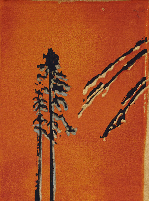 The lonely pines - 1/50 by Ghislain Pfersdorff