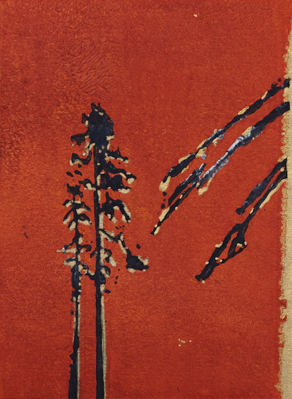The lonely pines - 24/50 by Ghislain Pfersdorff, Image 2.