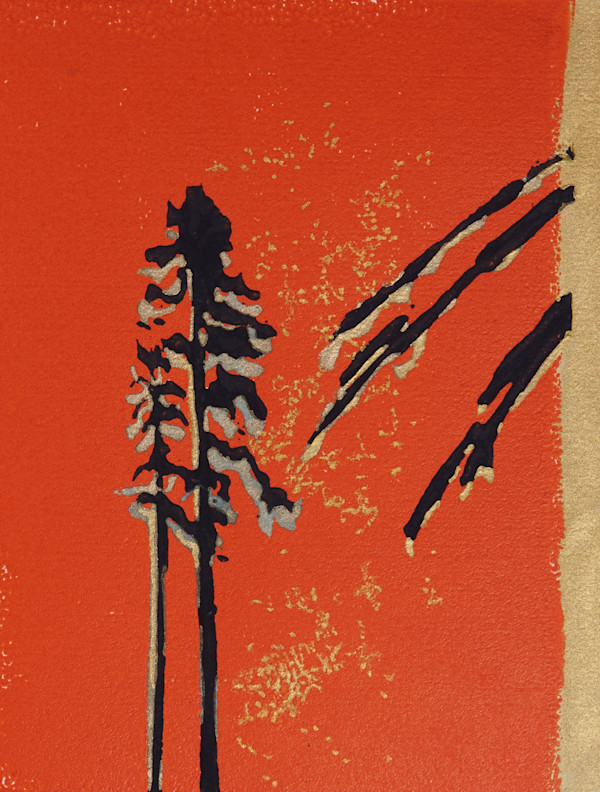 The lonely pines - 2/50 by Ghislain Pfersdorff, Image 2.