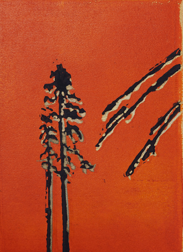 The lonely pines - 44/50 by Ghislain Pfersdorff, Image 2.