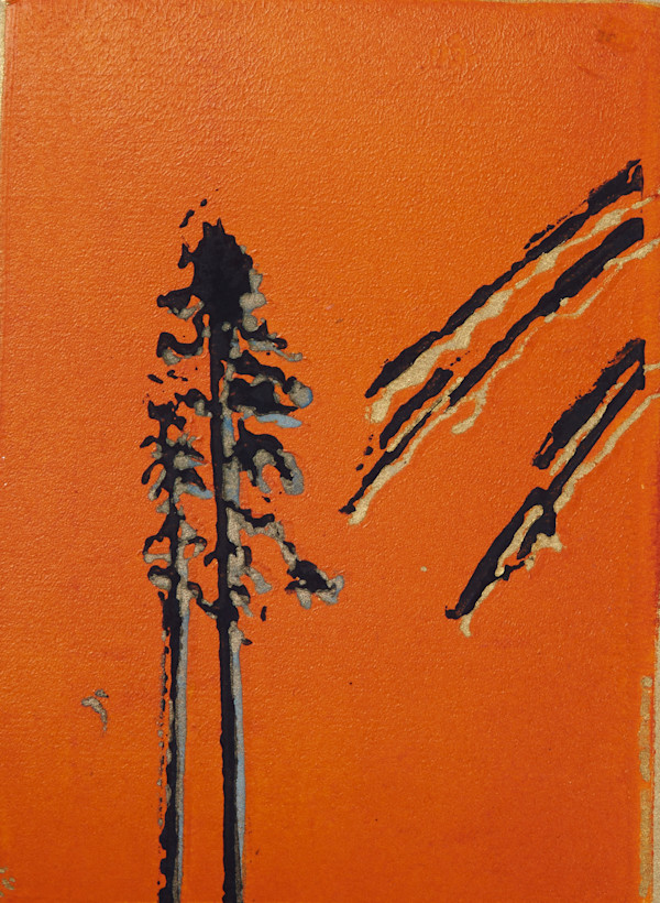 The lonely pines - 48/50 by Ghislain Pfersdorff