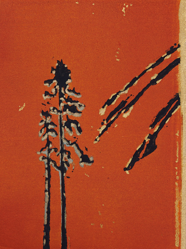 The lonely pines - 50/50 by Ghislain Pfersdorff, Image 2.