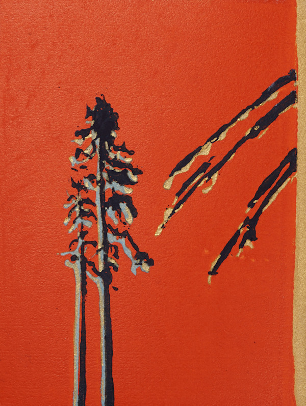 The lonely pines - 7/50 by Ghislain Pfersdorff, Image 2.