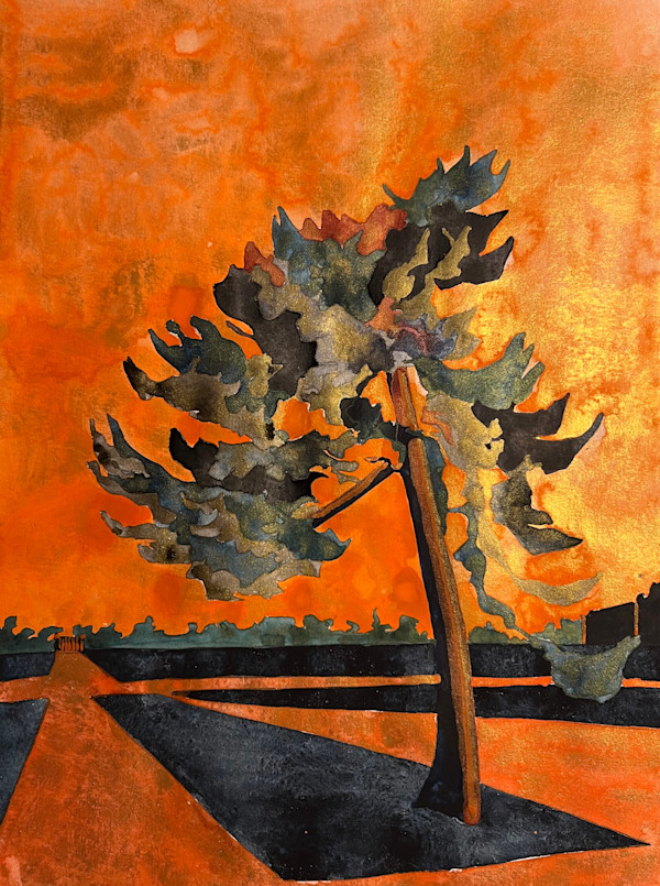 Le pin corse by Ghislain Pfersdorff