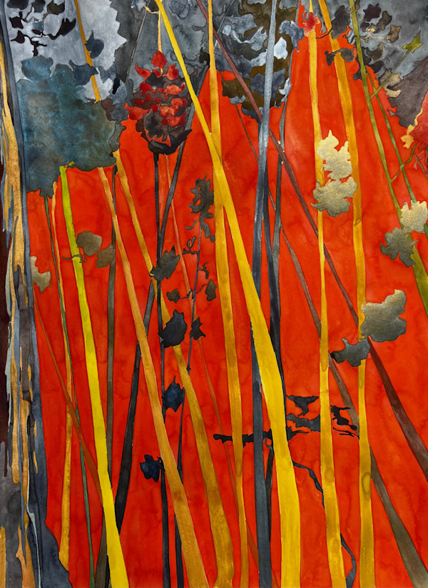 Ginkaku-gi by Ghislain Pfersdorff