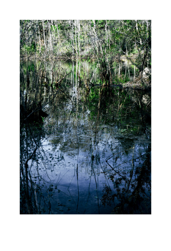 Wetland by Leslie Gabaldon