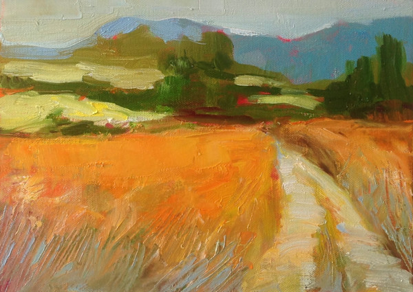 Field of orange by Charlotte Slade Decker