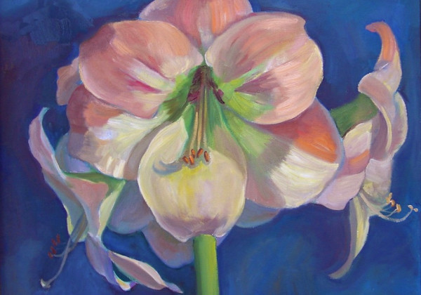 Pink Amaryllis by Charlotte Slade Decker