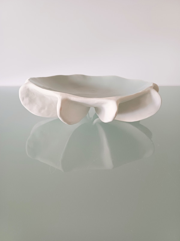 Reef Finned Bowl VIII (large) by Jo Richards Hooker Artist