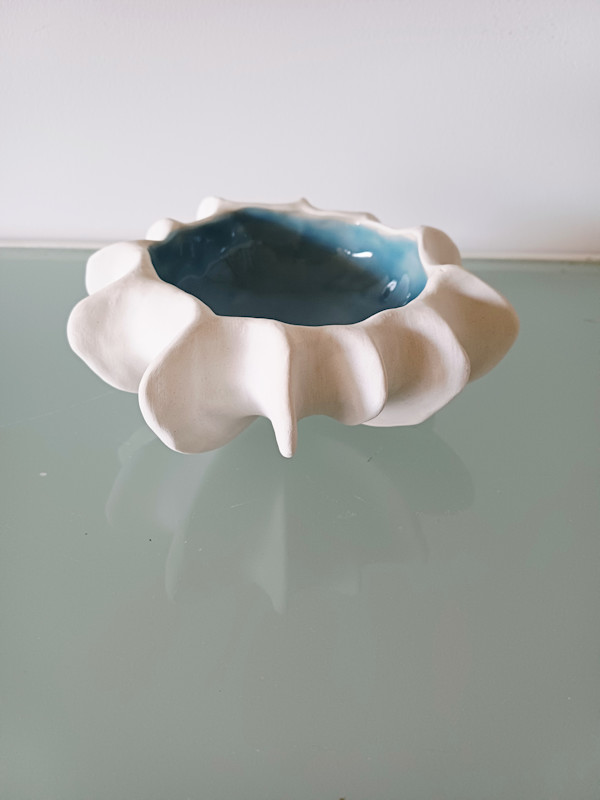 Reef Finned Bowl X II (small) by Jo Richards Hooker Artist