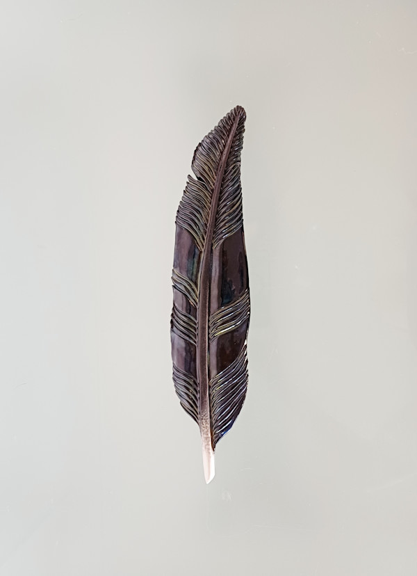 Tui Feather II by Jo Richards Hooker Artist
