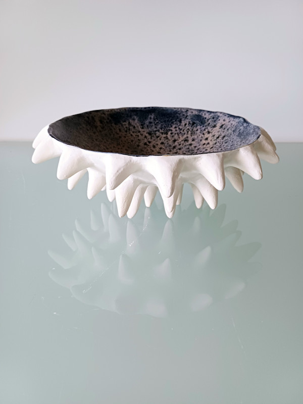 Urchin Bowl IX (Large) by Jo Richards Hooker Artist