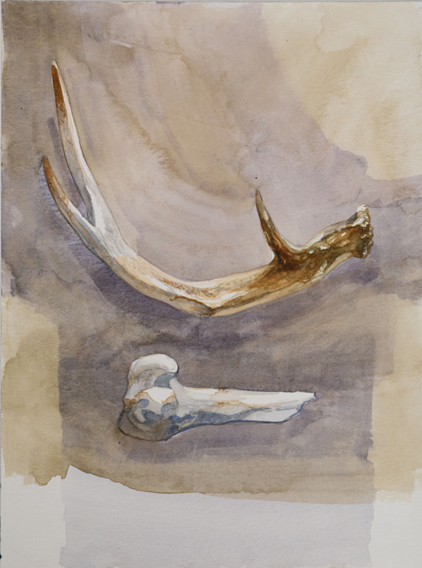 Bone by Phil Irish