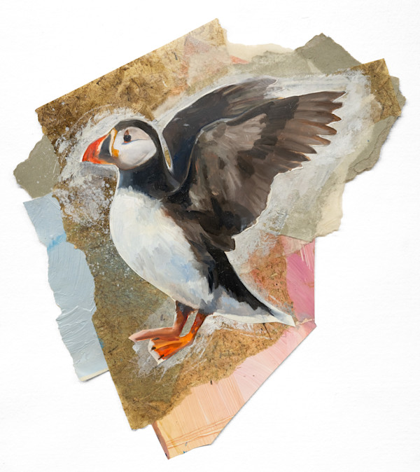 Puffin by Phil Irish, Image 2.