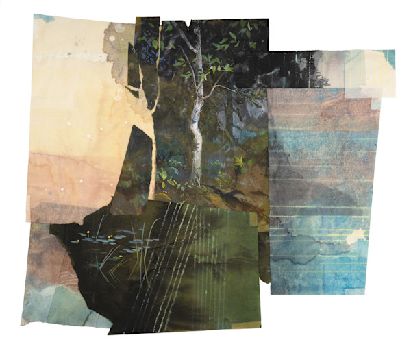Gloaming Birch by Phil Irish, Image 1.