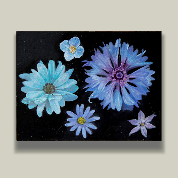 Blue Star Flowers, Image 1.