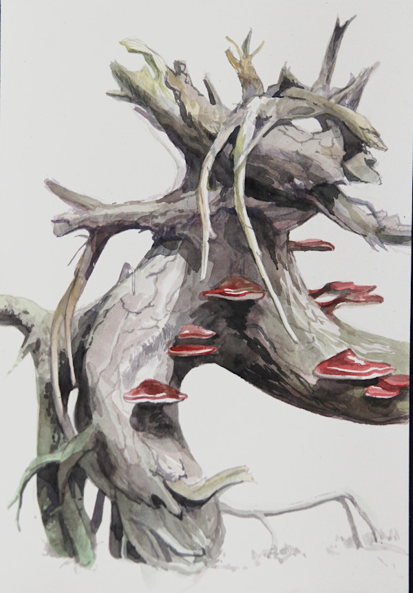 Killarney Watercolour 2 by Phil Irish, Image 1.