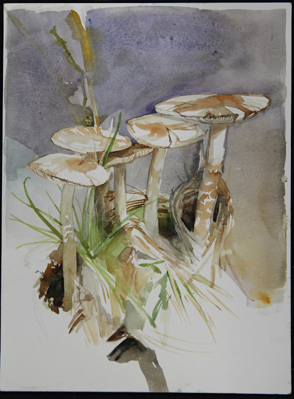 Killarney Watercolour by Phil Irish, Image 1.