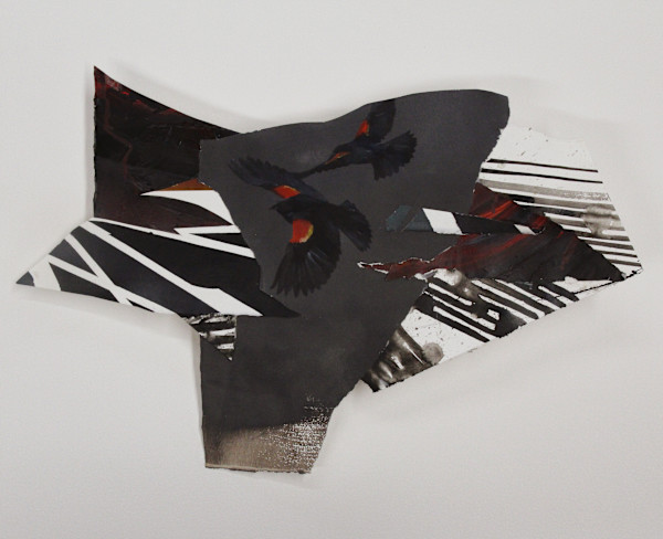 Redwing Collage by Phil Irish