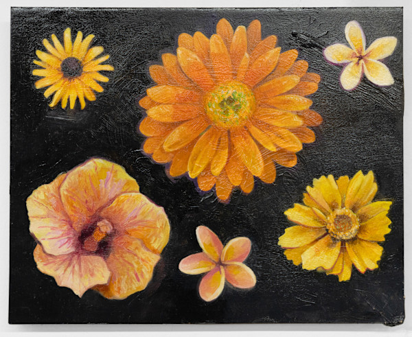 Orange Starflowers by Phil Irish, Image 1.