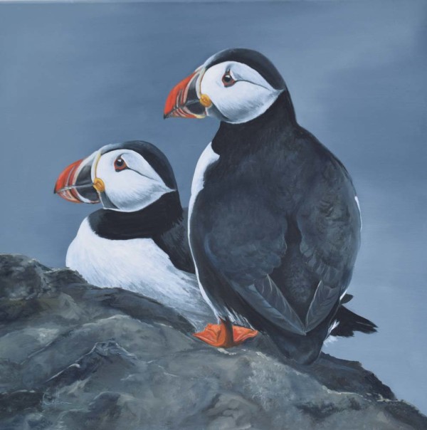 Puffins by Nicola Colbran Art