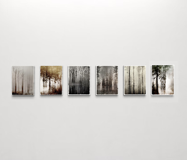 We meet in Dreams by Helena Palazzi