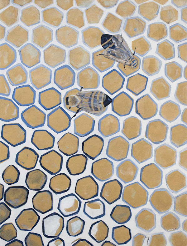 Honeycomb by Courtney Cotton