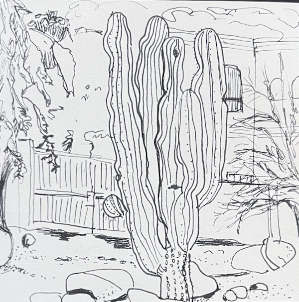 Joe's Cactus Mexico by Courtney Cotton, Image 2.