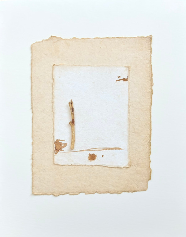 What the Trail Revealed by Courtney Cotton, Image 1.