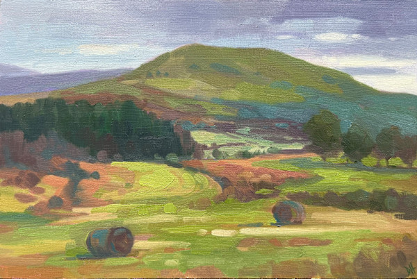 Bracken Bales in Libanbus by Dawn Harries