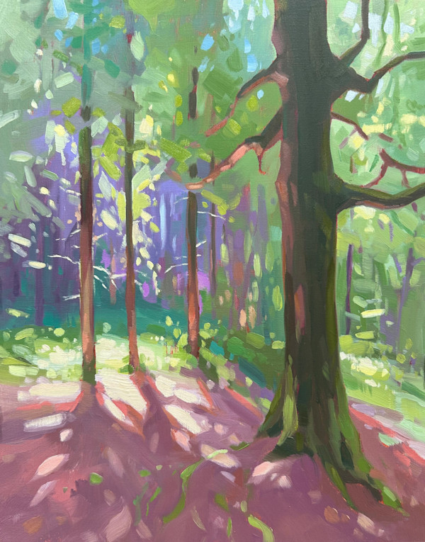 Dappled Glow by Dawn Harries