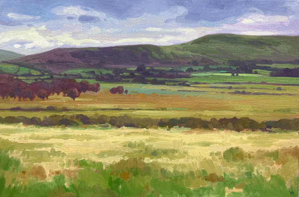 Fan Frynych by Dawn Harries