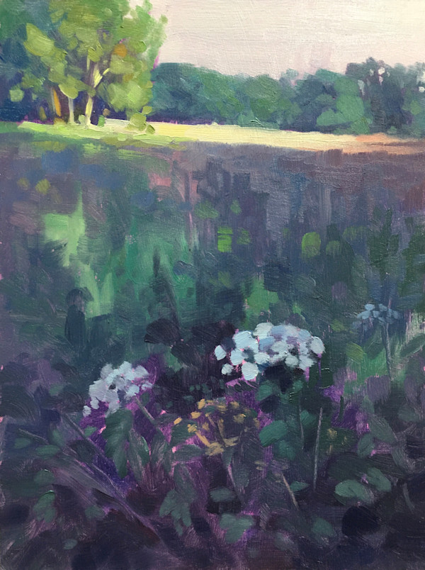 Light on the meadow by Dawn Harries