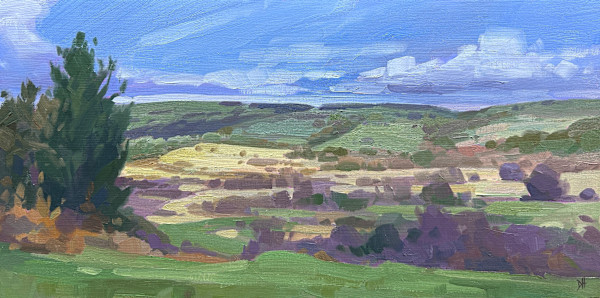 Llantrisant Common Under a Winter Sky by Dawn Harries