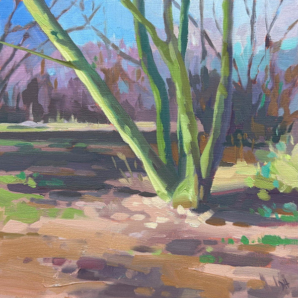 Park Light by Dawn Harries