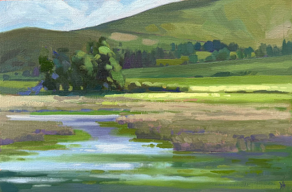 Summer Sunshine under Fan Frynych by Dawn Harries