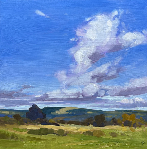 The Tall Cloud by Dawn Harries