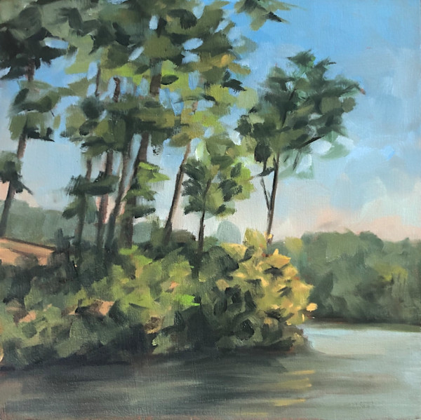 Lake Lure by Holt Cleaver