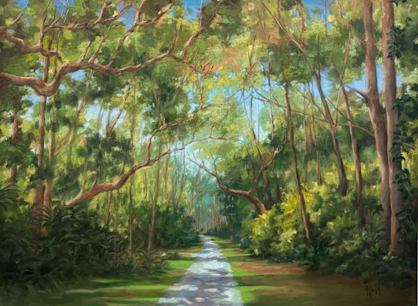 Tree Canopy Series by Holt Cleaver