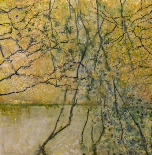 Edge of the pond by Jim Inzero, Image 1.