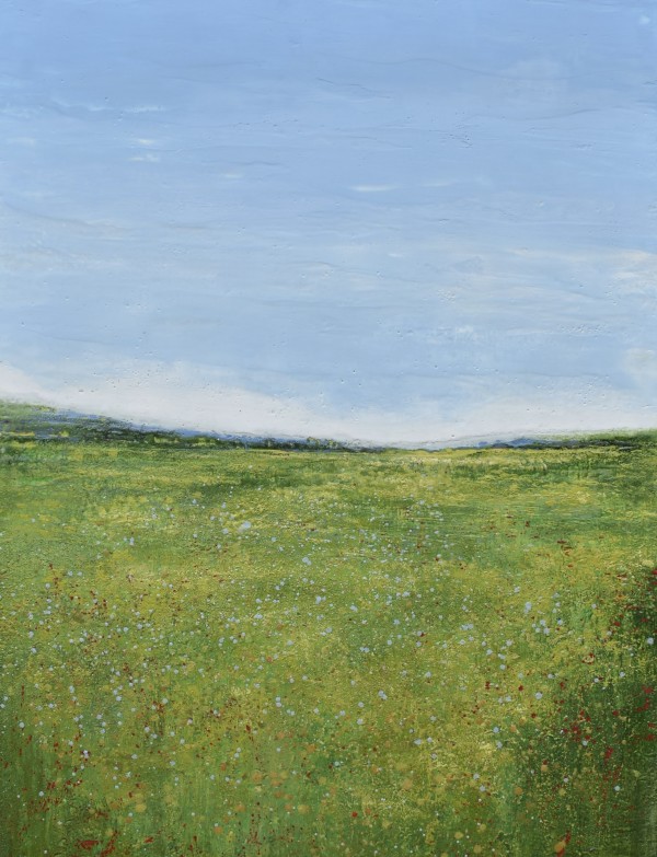 Summer Field Marsh by Jim Inzero