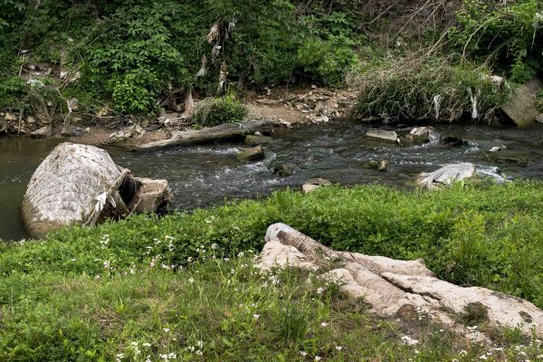 Little White Oak Bayou