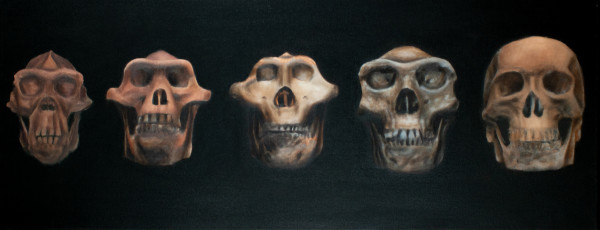 Evolution of Man