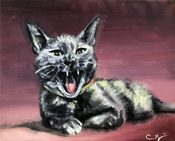 Purple Meow