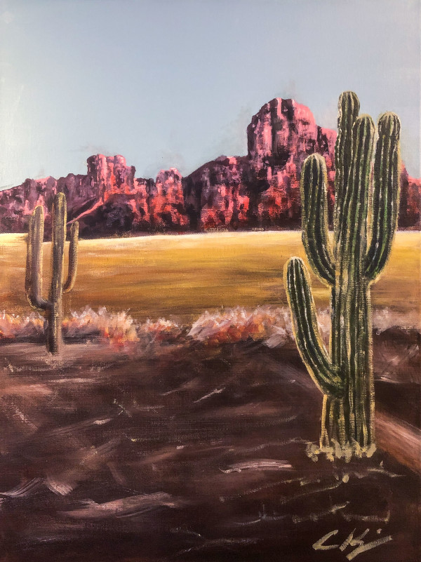 Helberg Cacti