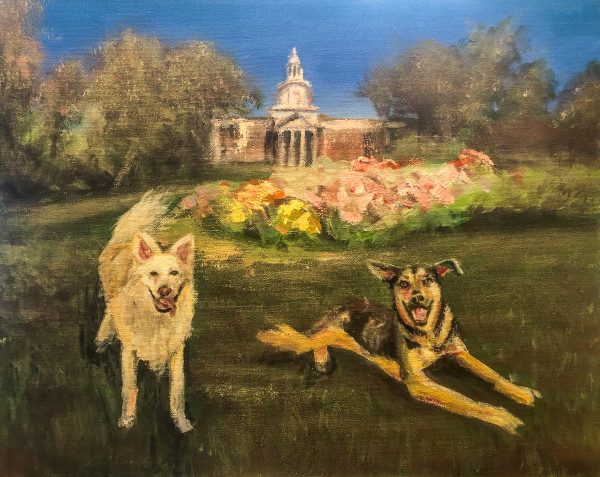 Baylor Pups