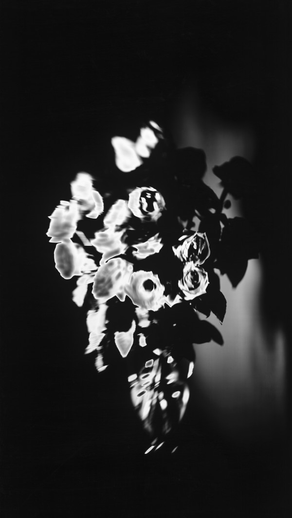 Rosen by Susanna Kraus & Annegret Kohlmayer