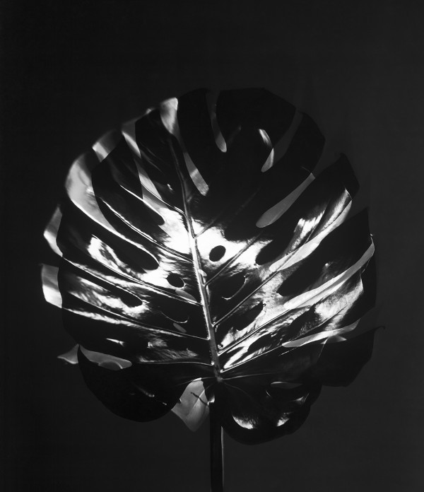 Schatten I by Susanna Kraus & Annegret Kohlmayer