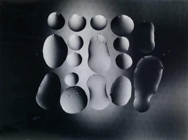 Ohne Titel by Franz Derra